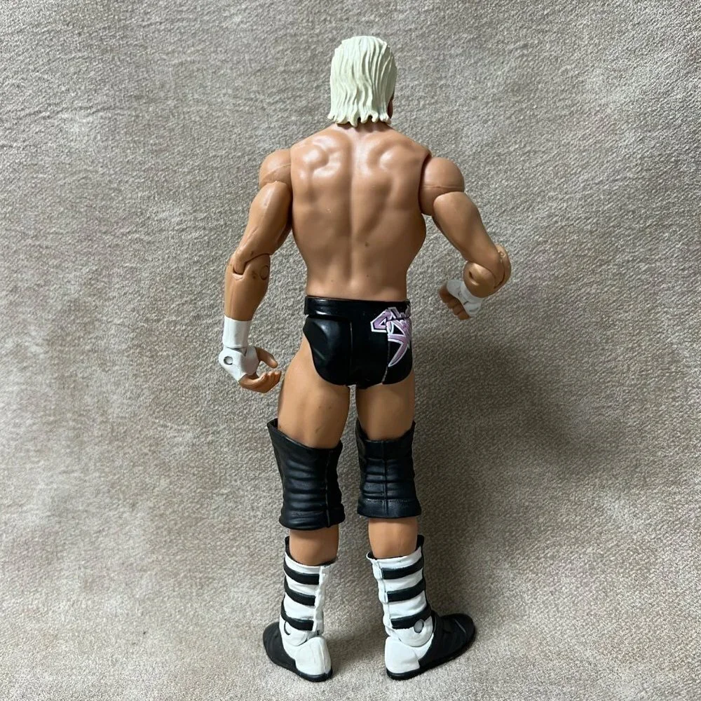 WWE Dolph Ziggler Action Figure, Wrester 2011 Mattel